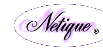 The Netique Gift Boutique