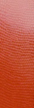 Red Lizard Jewel Case - Detail Close Up